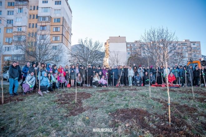 Засадени са още 500 дървета и храсти в града под