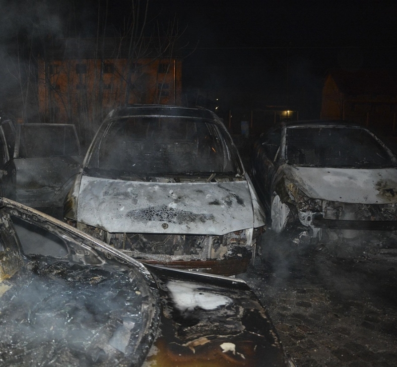 Три коли са изгорели в две села във Монтанско, съобщиха