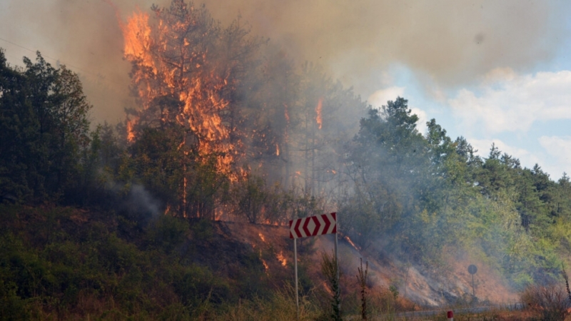 Високорискова остава обстановката в Свиленград заради големият горски пожар предаде