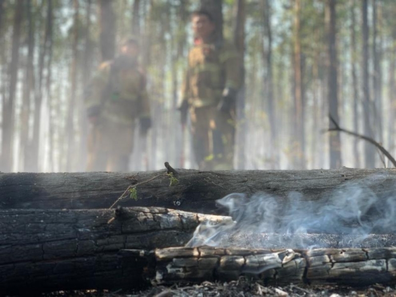 Големите горски пожари в Сибир достигнаха околностите на руски градове