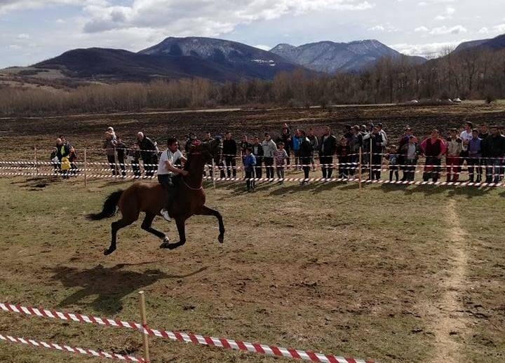 В събота за поредна година община Вършец организира конни надбягвания