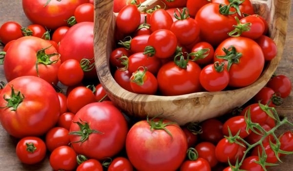 Без значение какво казват италианците най вкусните домати са на