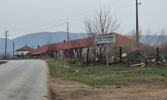 Увеличена популация на лисици създава проблеми във врачанското село Косталево