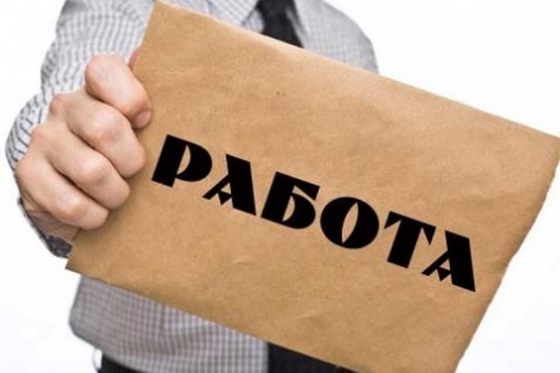 Регионалните дирекции „Бюро по труда“ в област Видин обявиха свободните