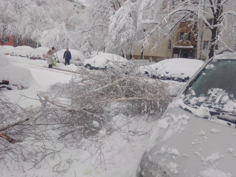 Снеговалежът с висока интензивност на територията на област Враца предизвика
