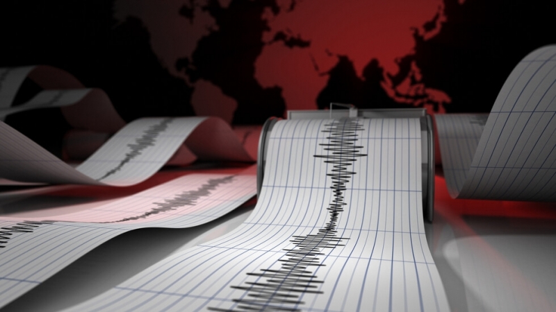 Няколко земетресения са станали в Румъния през изминалата нощ, съобщават местните