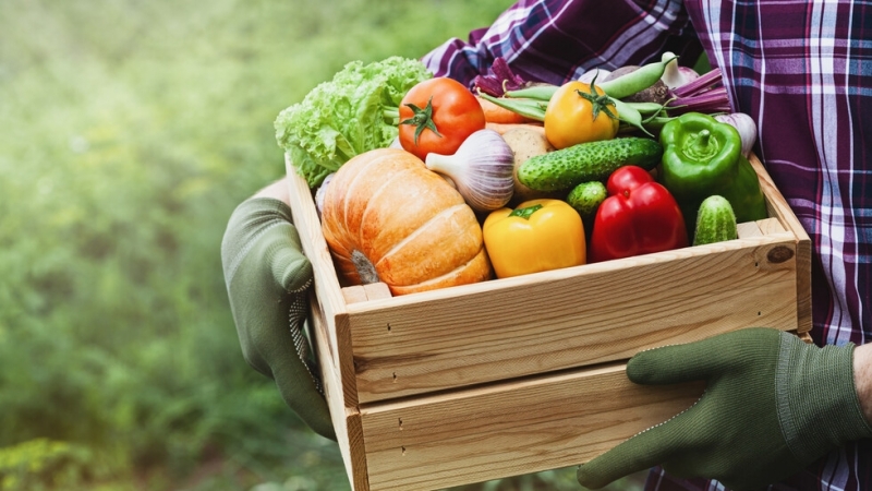 Диетологът Наталия Пугачева изброи зеленчуци, които трябва да се консумират