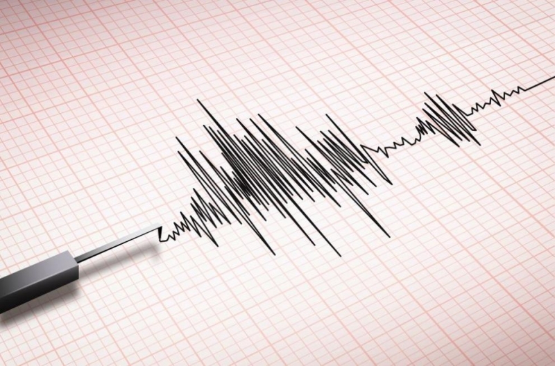 Земетресение с магнитуд от 4.2 по скалата на Рихтер удари