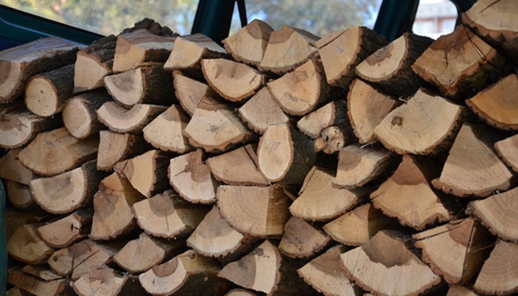 Иззеха 6 кубика незаконни дърва във Врачанско, съобщиха от полицията.
Случката