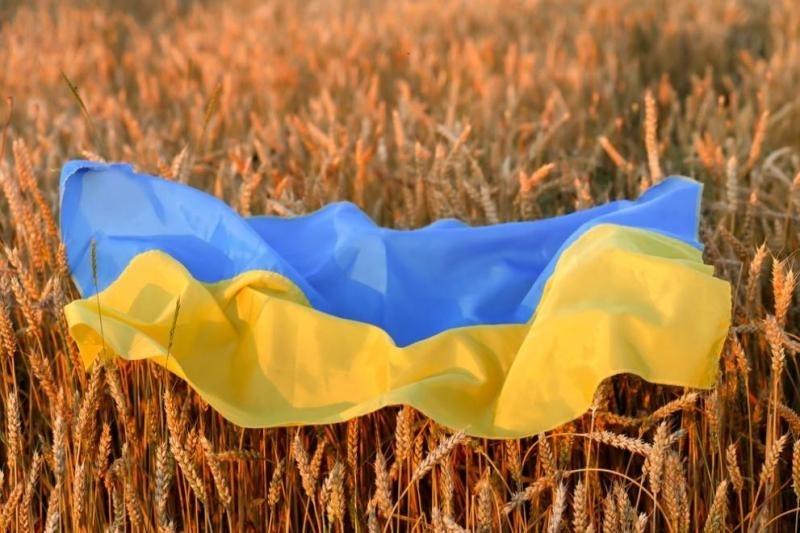 Украйна разполага със зърно за около 10 милиарда долара, обяви
