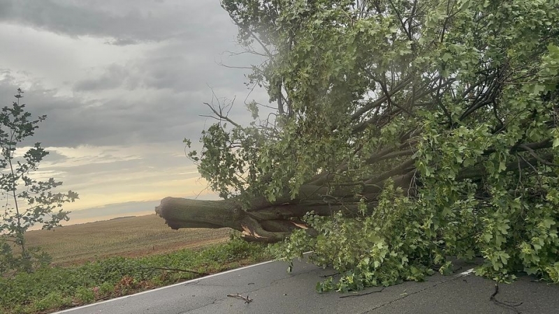 Мощна буря изкорени дървета и затвори пътища в Северозапада научи