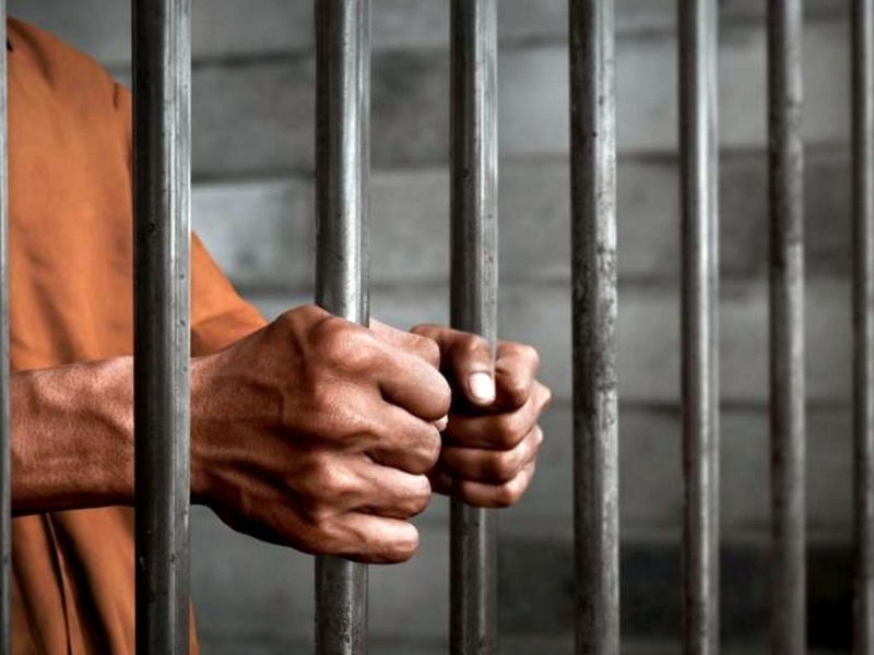 Състав на Окръжен съд Видин наложи ефективно наказание от 12