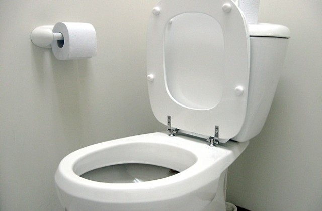 Триметров питон, който се криел в тоалетна, захапал пениса на