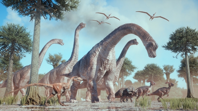 Нов вид динозавър е открит в Зимбабве съобщи Phys org Вкаменелостите