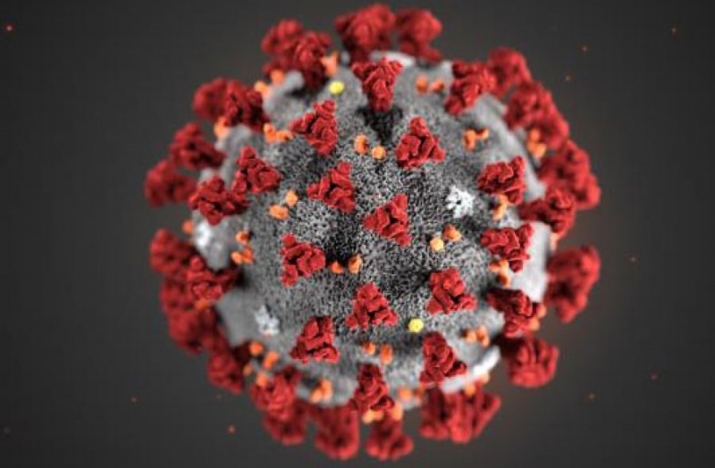 Над 143.8 милиона случая на коронавирус са били регистрирани по