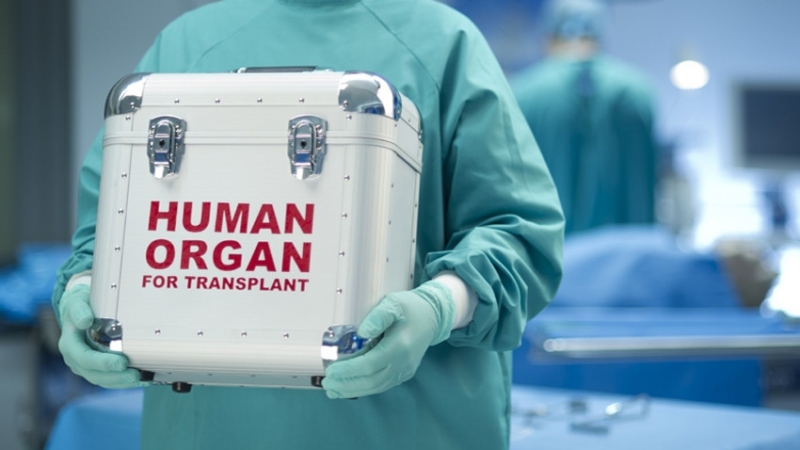 Схема за незаконни трансплантации на органи, в които е замесена