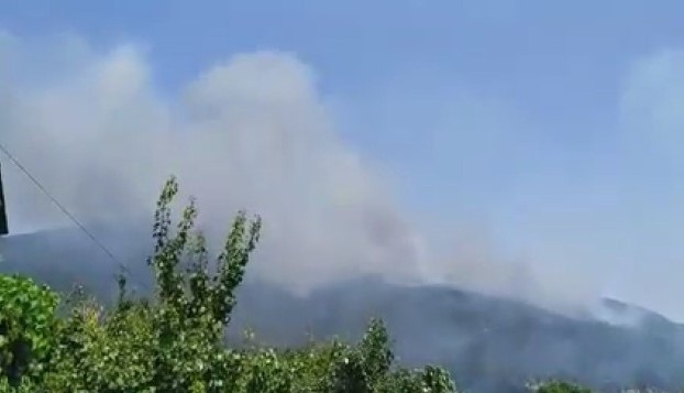 Пожар бушува в масив с боровата гора над град Твърдица