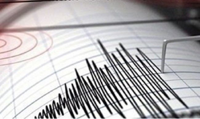 Земетресение с магнитуд 4 6 е станало в югоизточния турски окръг