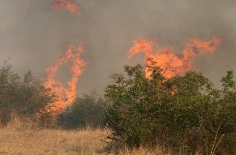 Огромен горски пожар се разрази край град Милас в турския