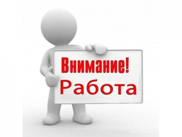 Регионалните дирекции "Бюро по труда" в област Видин обявиха свободните