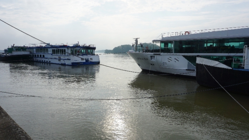 Нивото на река Дунав при Видин достигна 751 сантиметра тази
