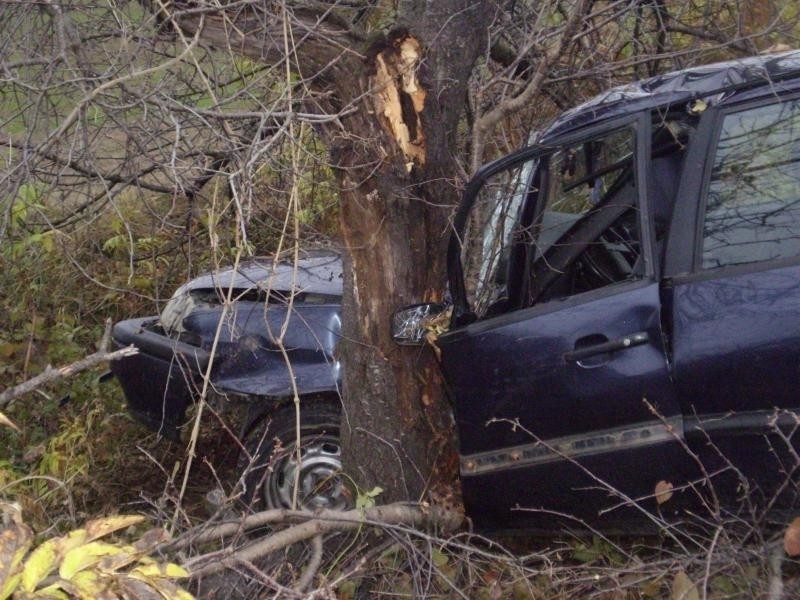 Жена е пострадала при катастрофа във Врачанско съобщиха от полицията