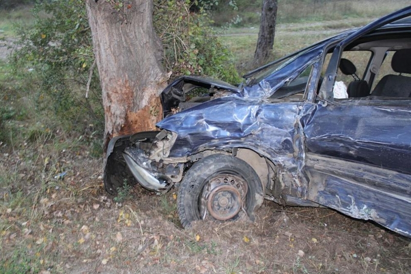 Катастрофа на Е-79 край Благоевград, има пострадали. 
Пътният инцидент е станал