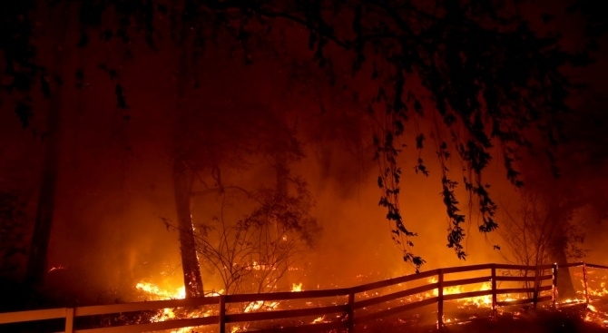 Няма данни за пострадали български граждани при горските пожари в щата