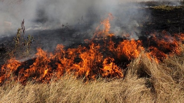 Видинските пожарникари гасили запалени сухи треви и храсти, отпадъци и