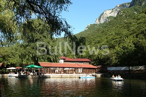 Невиждан звяр лежи край езерото на ресторант Чайка във Враца