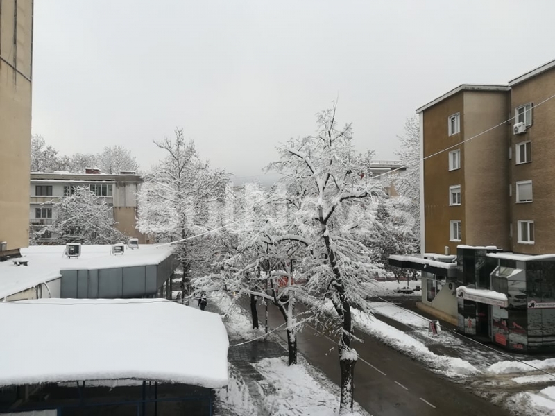 Около 20 см сняг натрупа в Северозападна България Толкова е