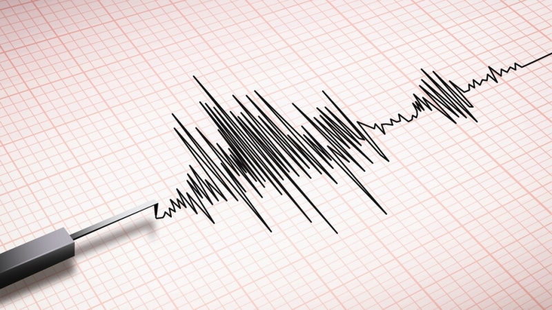 Земетресение от 4 1 по Рихтер е регистрирано тази сутрин в
