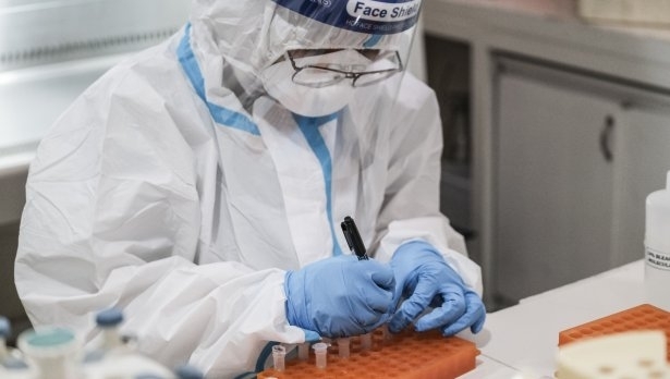 Китайски учени създадоха нов вирус, наподобяващ ебола, който може да