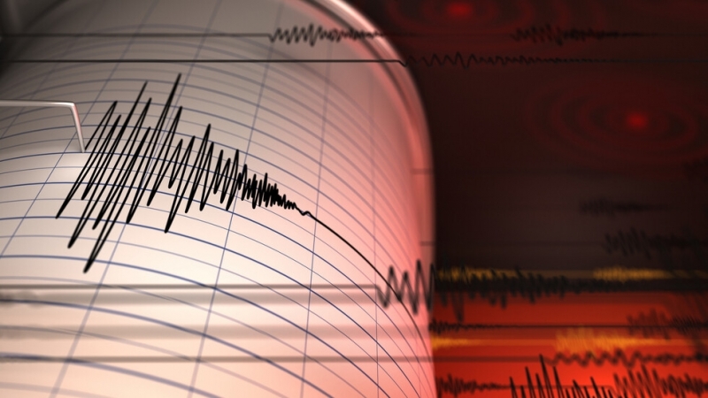 Земетресение с магнитуд 4.4 по Рихтер разтърси граничен район между