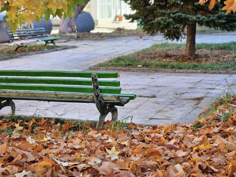 Община Берковица продължава работата по почистване и облагородяване на градските