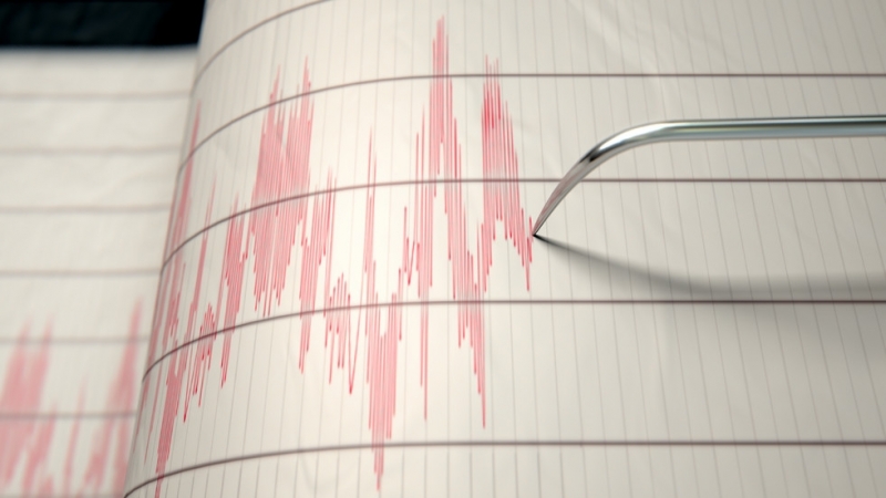 Земетресение с магнитуд 4 9 е регистрирано през изминалата нощ на